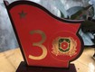 Biểu trưng kỷ niệm 30 năm ngày tựu trường nghiệp vụ cảnh vệ khóa II 