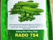 Gói lớn 100gr hạt giống đậu rồng thái rạng đông rado754 