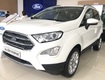 Nhà cần bán xe ford ecosports 2021 