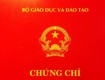 Đào tạo nghề xe nâng   máy xúc, hàn, điện cấp chứng chỉ tại Hải Phòng 