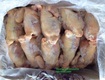 Bán thịt gà nguyên con đông lạnh nhập khẩu từ nhiều nước 
