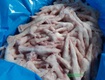 Chân gà đông lạnh giá sỉ rẻ   chất lượng cao tại Hà Nội 