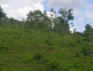 Bán đất rẫy tặng cây đất thuộc xã Kon Gang, huyện Đak Đoa, tỉnh Gia Lai 4ha giá...