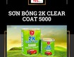 Sơn Bóng 2K Coat 