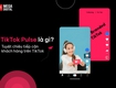 TikTok Pulse là gì  Cơ hội mới để tiếp cận khách hàng trên TikTok 
