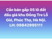 Cần bán 05 lô đất đấu giá khu đồng tre lỗ gió, thôn bảo lộc,...