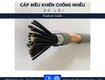 Cáp điều khiển 30 lõi 1.0mm có lưới chống nhiễu 