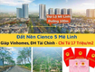 Chuyên Mua Bán đất liền kề Biệt thự dự án Cienco5 Mê Linh Hà Nội 