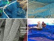 Xưởng lưới lồng nuôi cá tại tây mỗ, nam từ liêm, hà nội 