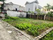 64,5m đất tại Tân Minh Sóc Sơn 