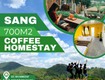 Chính chủ sang nhượng kd 700m2 homestay   coffee trung tâm tp.đà lạt 