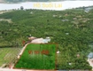Bán đất View hồ mặt tiền nhựa gần chợ Tân Quan Bình Phước 