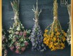 Hoa khô tự nhiên: pháp trang trí bền đẹp cho không gian sống 