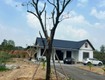 Bán đất rừng trên đất có nhà mái thái tại Thanh Vân, Tam Dương, Vĩnh Phúc 