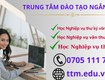 Học chứng chỉ văn thư lưu trữ, thông tin thư viện tại Đà Nẵng, Quảng Nam 