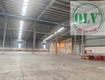 Cho thuê nhà xưởng mới xây DT 24.000m2, 2 xưởng 8.000m2 KCN Thuận Đạo mở rộng.Long An. 