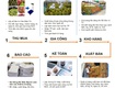 Quản lý thu mua, kinh doanh nông sản kết nối cân điện tử, mã vạch, camera 