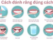 Cách đánh răng đúng, ngăn ngừa mảng bám, bảo vệ răng chắc khỏe 