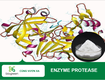 Bán enzyme protease thủy phân phế phẩm nông nghiệp để làm thức ăn chăn nuôi,...