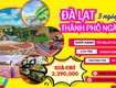 Tour tết đà lạt 3n3đ giá chỉ 2.290.000 