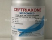 Ceftriaxone 98   giải pháp cho tình trạng lờn cefo liều cao 