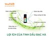 Tinh dầu bạc hà   bí quyết lựa chọn sản phẩm chất lượng 