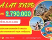 Khám phá Đà Lạt Tết 3 ngày 3 đêm cùng SGC Tourist 