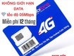 Sim 4G ty tỷ gb vào mạng 