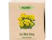 Bộ kit cúc mini vàng hoa niên garden 