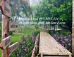 Garden land là đơn vị chuyên phân phối bđs nghỉ dưỡng tại ba vì giá từ 2 tỷ...