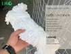 Lưới bao container tân gia bảo