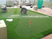 Green Golf cỏ thật   chân thật hơn bao giờ hết 