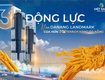 Đầu Tư Gi ữ Chỗ Căn Hộ LandMark Sông Hàn chỉ Với 400 Triệu trong vòng 5 Tháng...