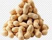 Hạt lạc và ảnh hưởng của chất aflatoxin đối với gan 