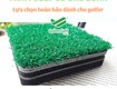 Thảm golf 3d đài loan lựa chọn hoàn hảo cho golfer