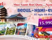 Seoul nami  thiên đường hoa anh đào rực rỡ xứ hàn 