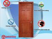 Cửa gỗ tự nhiên saigondoor 