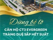 đừng bỏ lỡ cơ hội  căn hộ ct3 evergreen tràng duệ sp hết suất...