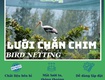 Lưới chắn chim   giải pháp bảo vệ hiệu quả 