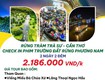 Tour rừng tràm trà sư   cần thơ   check in phim trường...