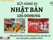 Gửi hàng đi nhật   tiến việt express 