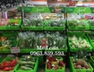 Cung cấp rổ nhựa, thùng nhựa đan, hộp nhựa