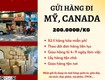 Gửi hàng đi usa, canada tiến việt express