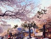 Những điểm mua sắm nổi tiếng cho khách du lịch tại changwon 