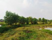 bán đất củ chi xã trung lập hạ sổ riêng, giá tốt ...