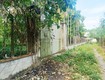Bán nhà vườn 1/ đường 437   1653m2   30x59   300m2...