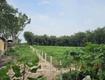 Chính chủ cần bán lô đất tại minh tân dầu tiếng bình dương