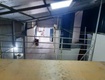 Chính chủ muốn chuyển nhượng đất tặng nhà cấp 4 tại khu tt...