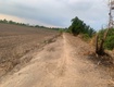5585m2 đất vườn xã lương hòa, huyện bến lức giá 4,6 tỷ 