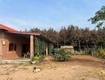 Cần bán gấp căn nhà hơn 2290m2 có thổ cư giá chỉ 450tr tại chủ...